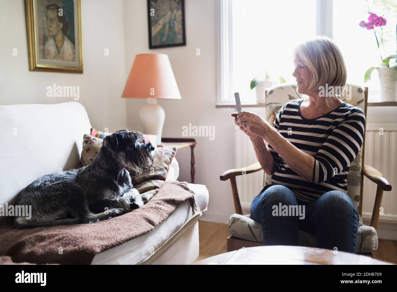 Femme âgée qui photographie un chien avec un smartphone à la maison Banque D'Images