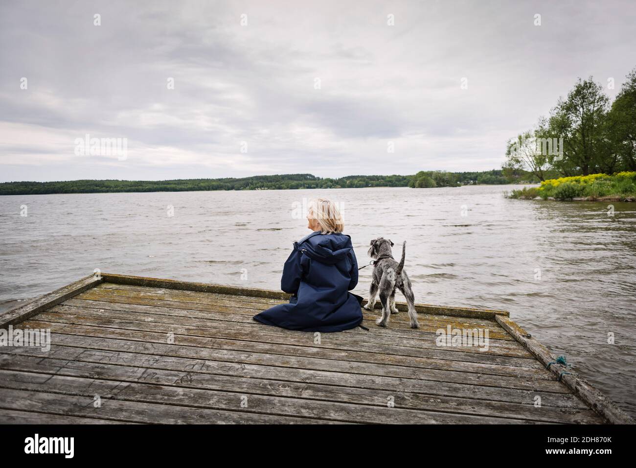 Vue arrière de la femme et du chien senior sur la jetée à lac contre ciel nuageux Banque D'Images