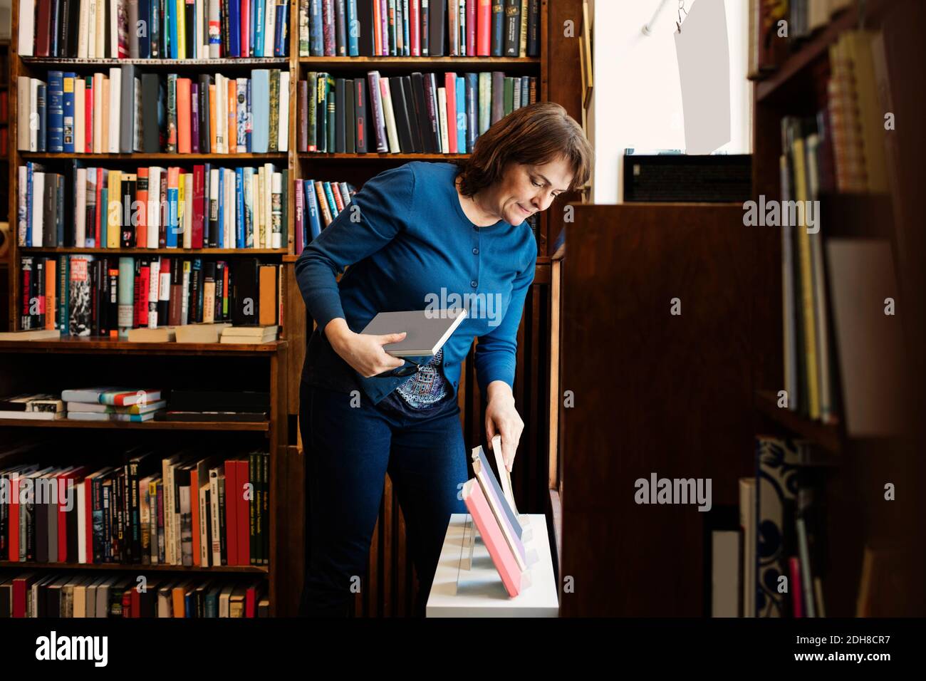 Bibliothécaire organisant des livres à présenter dans un magasin d'antiquités Banque D'Images
