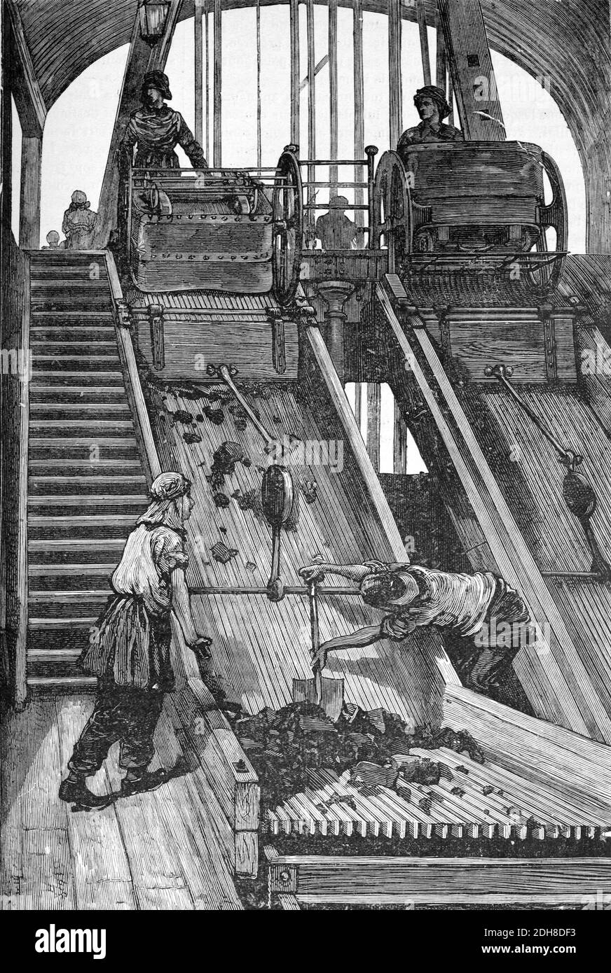 Tri du charbon ou nivellement du charbon sur un élévateur ou un tapis roulant Dans le cadre de Pit Head ou la tour Winding au-dessus de la mine de charbon (Engr 1880) Illustration ancienne ou gravure Banque D'Images
