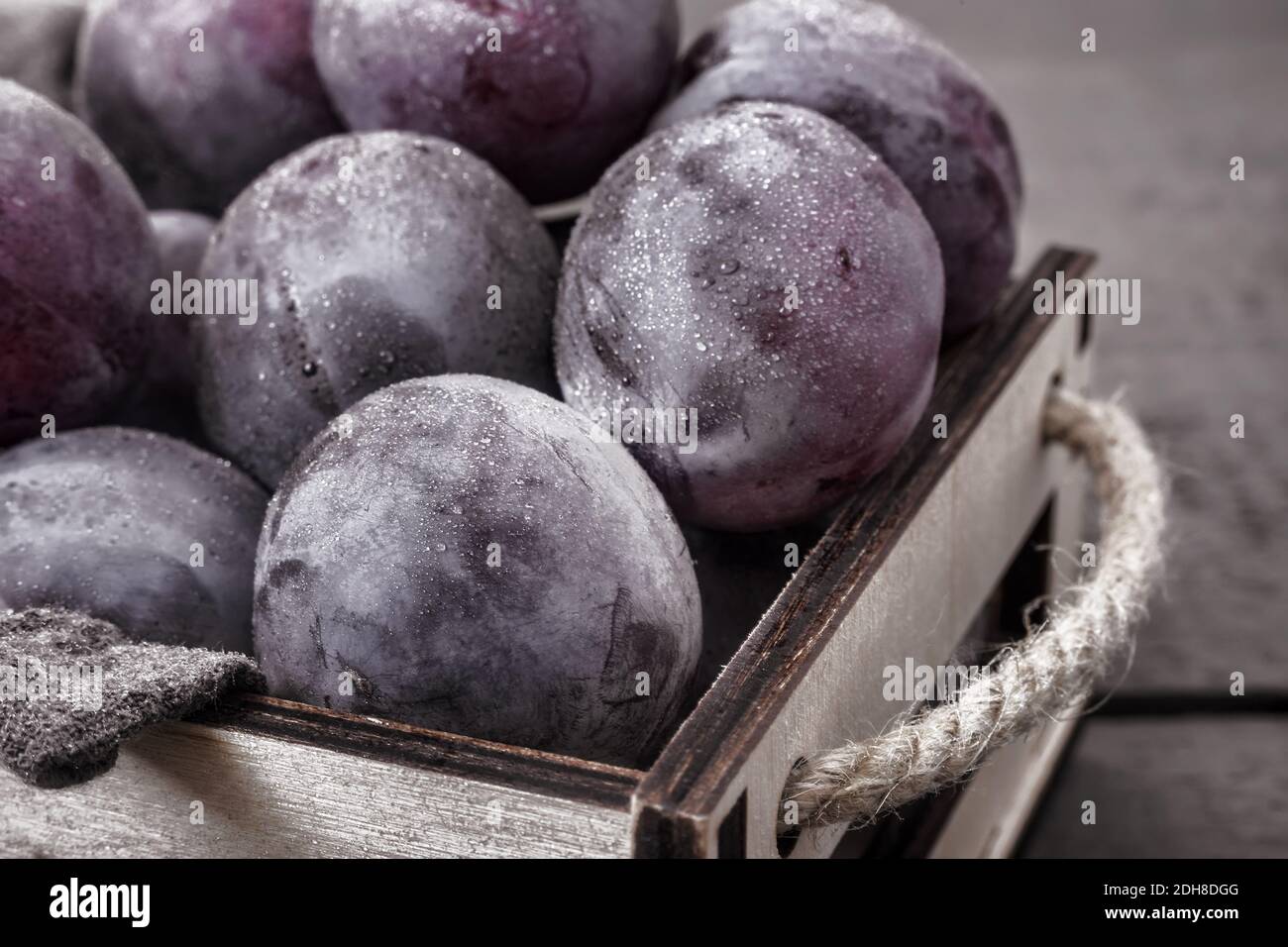 Grands prunes mûres dans un récipient sur la table Banque D'Images