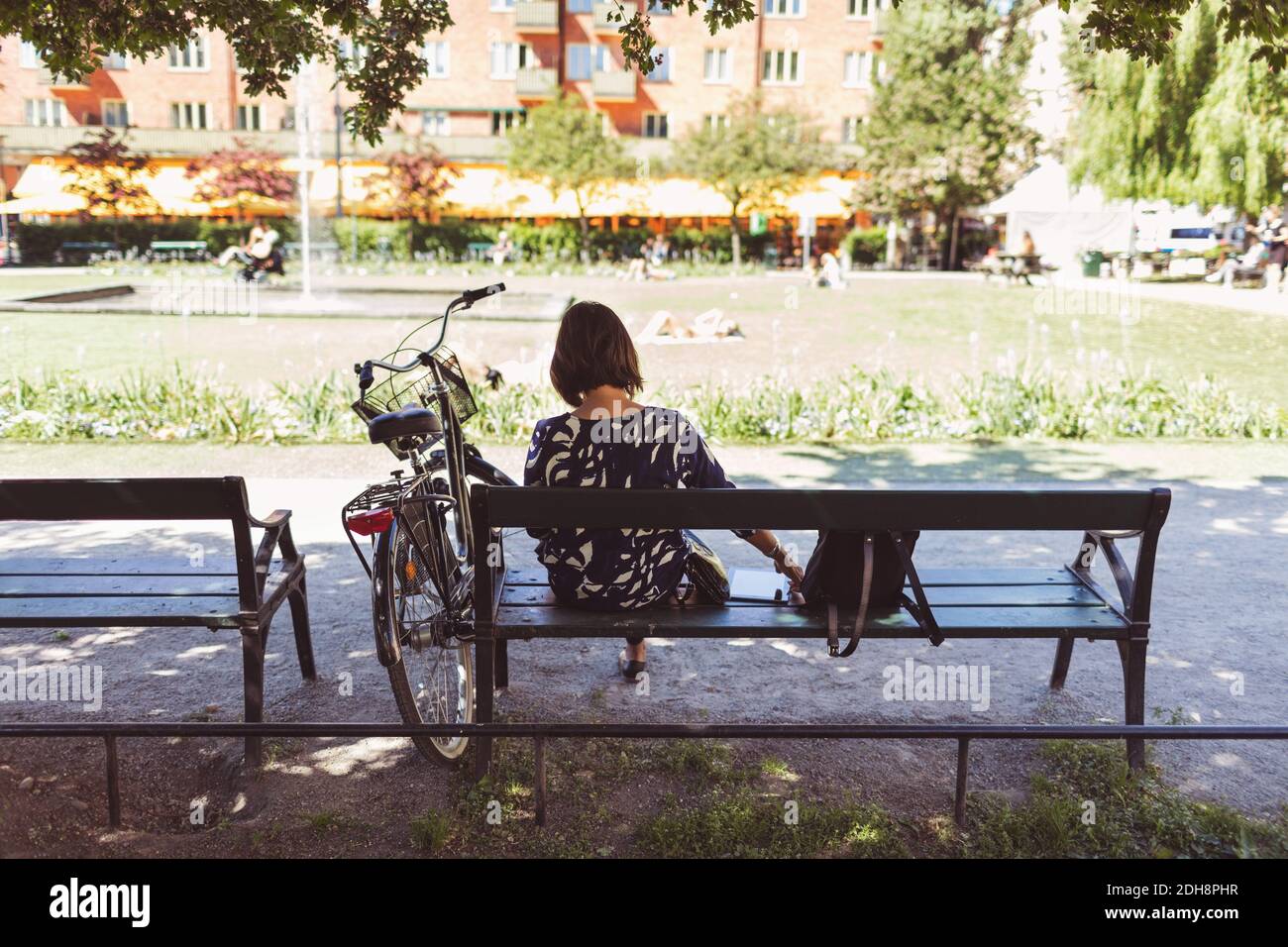 Vue arrière de la femme d'affaires assise sur le banc de parc à vélo Banque D'Images