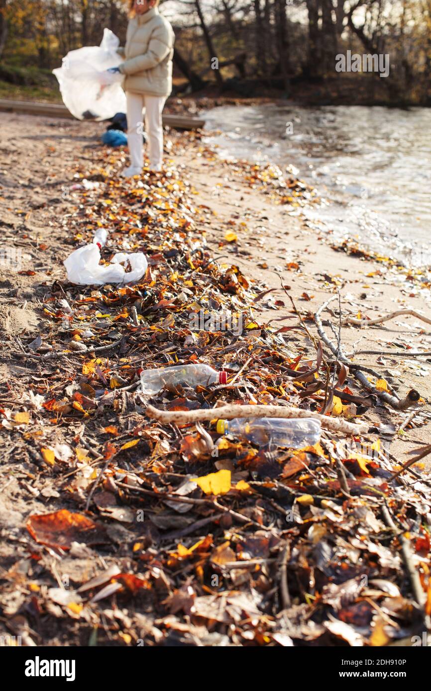Jeune écologiste féminine collectant les déchets par lac Banque D'Images