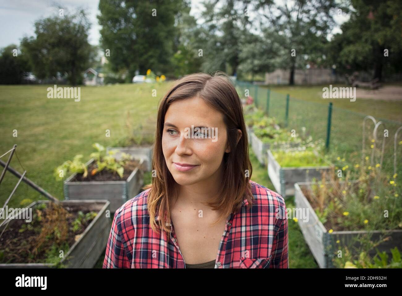 Femme moyenne adulte attentionnés dans un jardin potager Banque D'Images