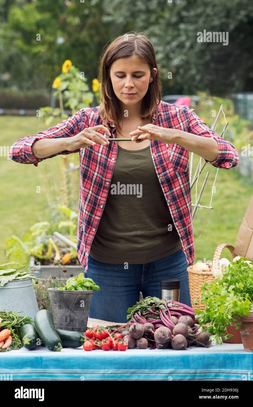 Femme de taille moyenne photographiant des légumes fraîchement récoltés dans un jardin urbain Banque D'Images