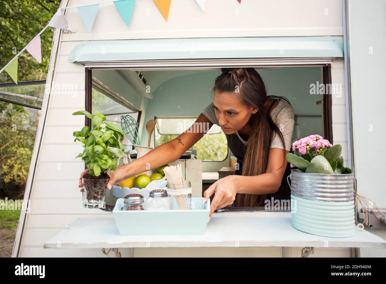 Femme propriétaire organisant l'usine en pot sur la fenêtre du camion alimentaire Banque D'Images