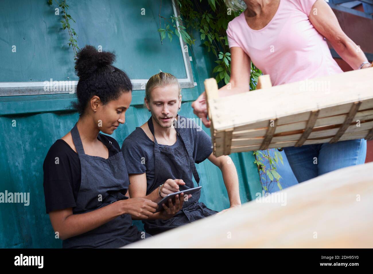 Homme et femme jardinier utilisant un ordinateur tablette alors qu'une femme âgée transport de la caisse dans la cour Banque D'Images