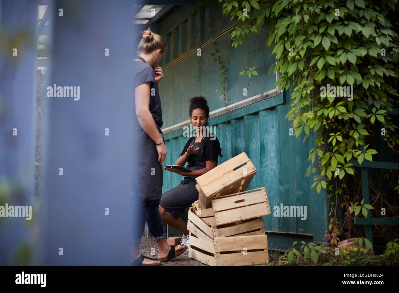 Femme jardinière tenant une tablette numérique tout en communiquant avec un ami caisses dans la cour Banque D'Images