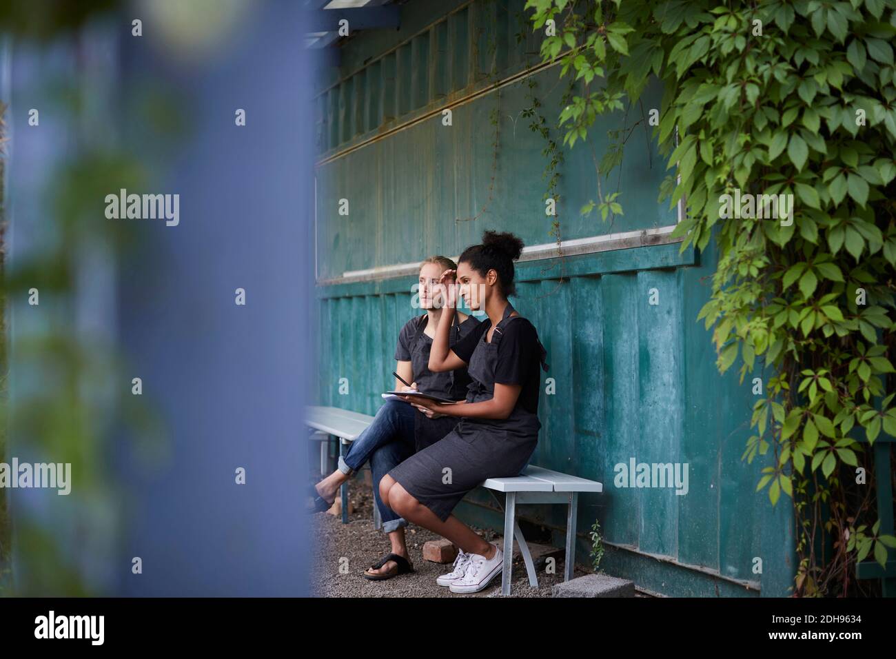Jardiniers regardant loin tout en étant assis sur le banc à la cour Banque D'Images