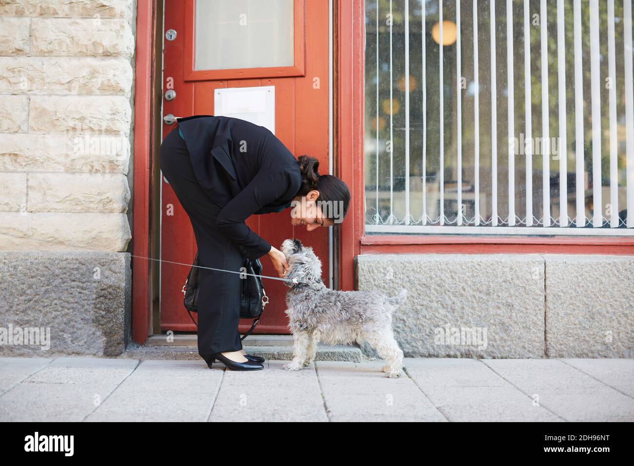Vue latérale sur toute la longueur d'une femme d'affaires qui s'occupe d'un chien à l'extérieur du bureau Banque D'Images