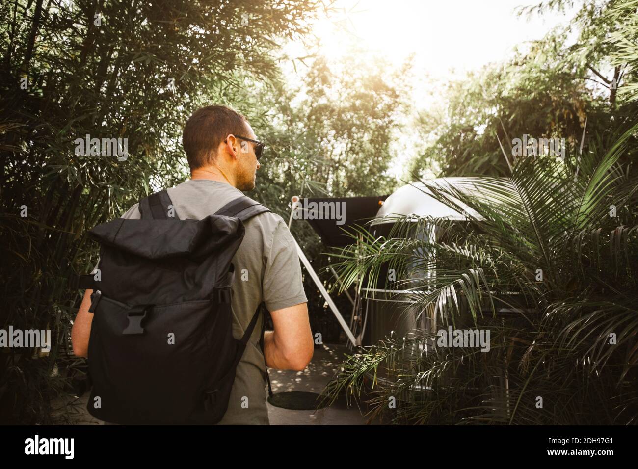 Vue arrière de l'homme avec le sac contre les plantes Banque D'Images