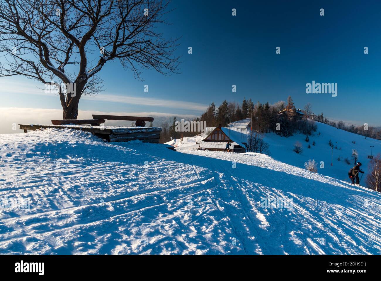 Cienkow au-dessus de Wisla dans les montagnes de Beskid Slaski en Pologne avec peu de skieurs, d'arbres, peu de bâtiments et ciel clair pendant l'hiver matin Banque D'Images