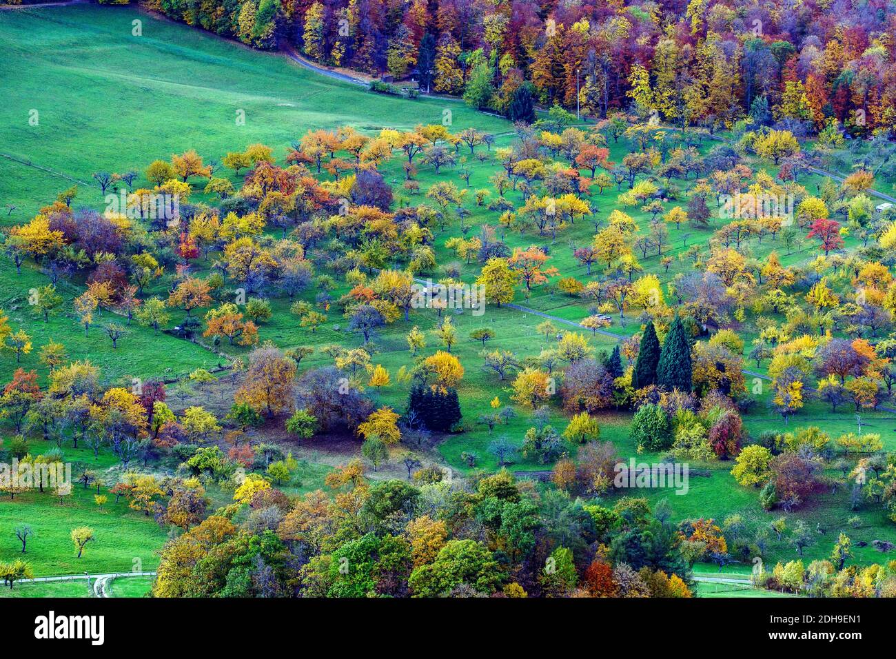 Blick vom Beurener Fels Albvorland, Beuren, Bade-Wurtemberg Banque D'Images