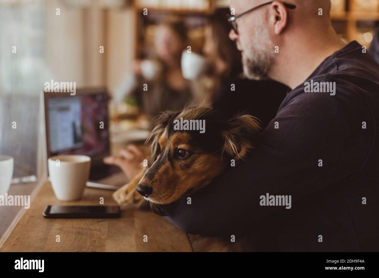 Chien se reposant pendant que le propriétaire de l'animal utilise un ordinateur portable au café Banque D'Images