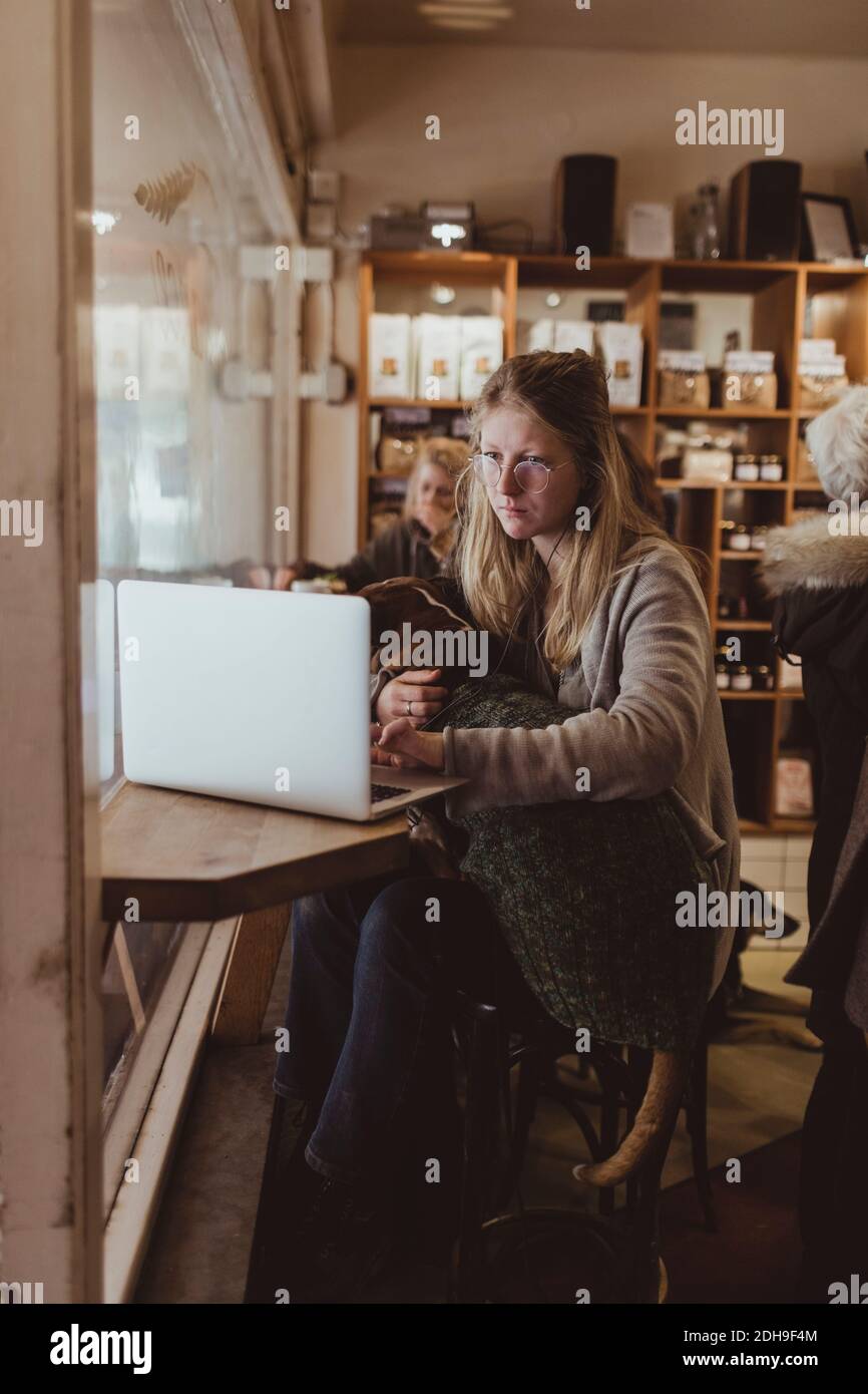 Jeune femme utilisant un ordinateur portable tout en étant assise avec un boxeur à café Banque D'Images