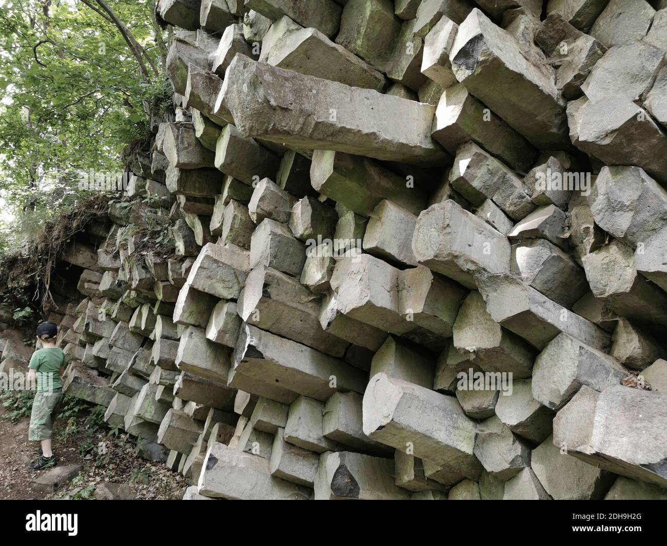 Le mur de prisme de basalte à Gangolfsberg se compose de colonnes de basalte empilées en bois d'un diamètre de 30 à 40 cm, Oberelsbach, comté de Rhön-Grabfeld, Bavière Banque D'Images