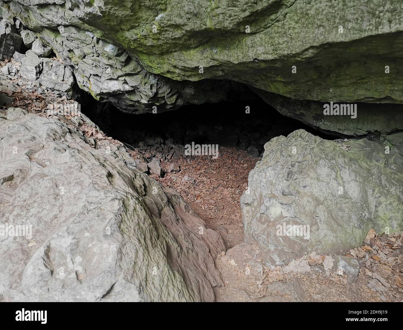 Basalt Cave Teufelskeller, Devil's Cellar, Gangolfsberg, Oberelsbach, Comté de Rhön-Grabfeld, Bavière, Allemagne / Basalthöhle Teufelskeller, Gangolfsfbe Banque D'Images