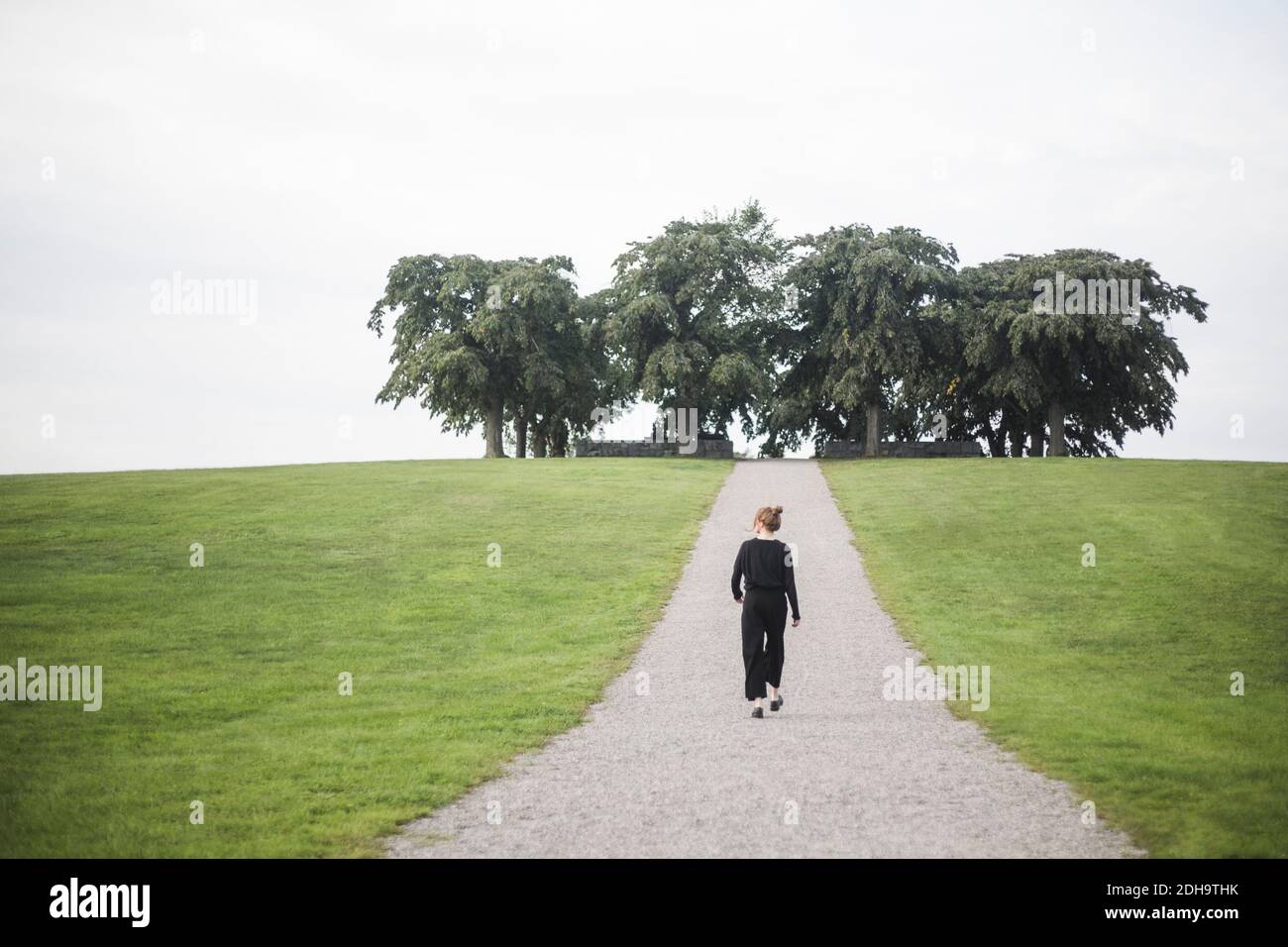 Vue arrière de la jeune femme marchant au milieu de la terre herbeuse contre arbres et ciel Banque D'Images