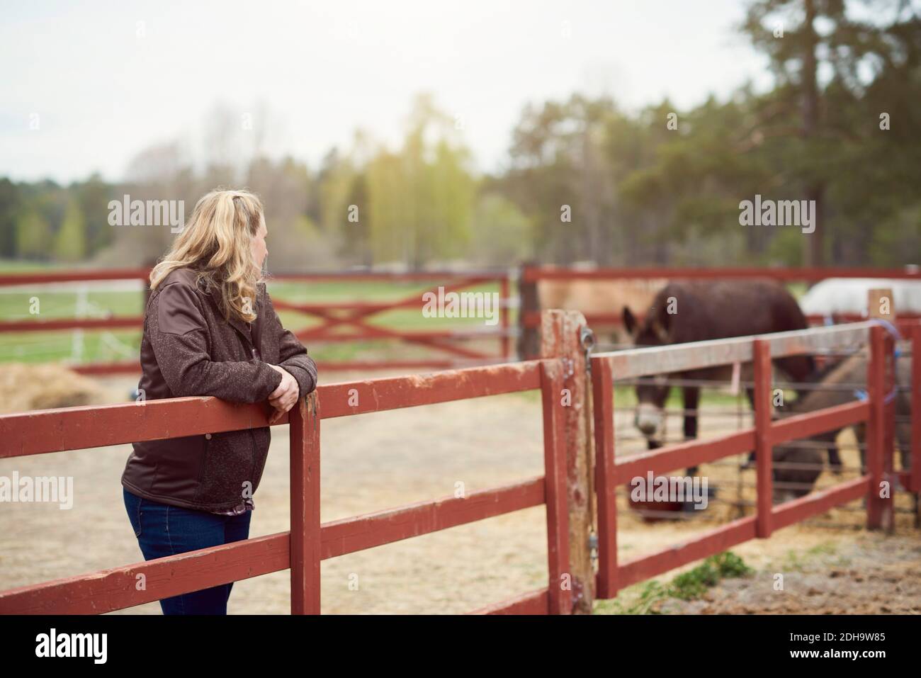 Agricultrice penchée sur la clôture dans la ferme Banque D'Images