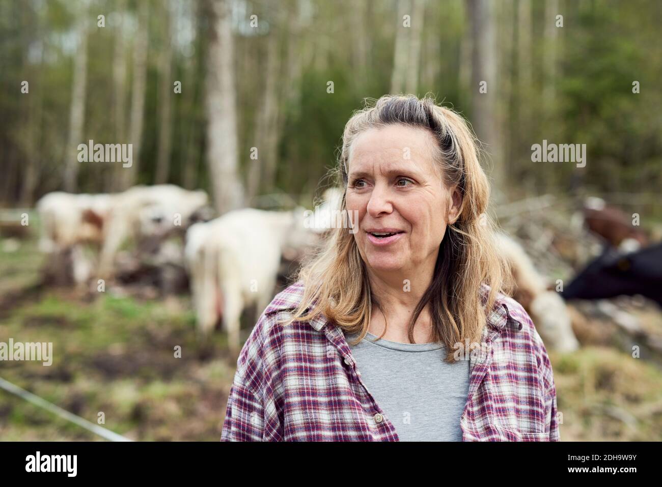 Femme mûre regardant loin en se tenant debout sur le terrain Banque D'Images Femme mûre regardant loin en se tenant debout sur le terrain Banque D'Images