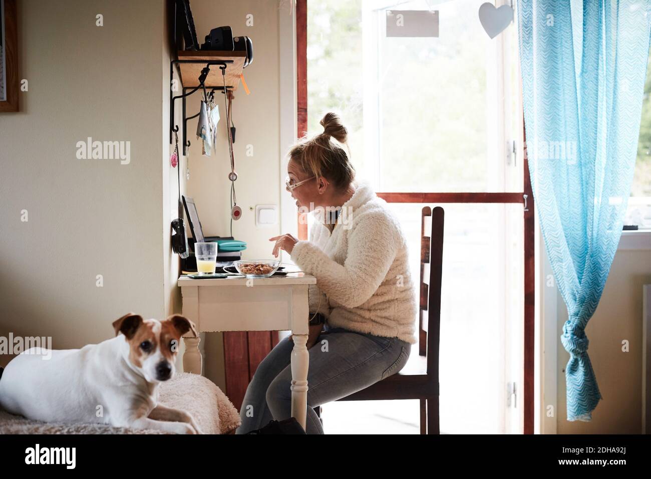 Jeune femme handicapée utilisant un ordinateur portable au bureau avec un chien dans premier plan à la maison Banque D'Images