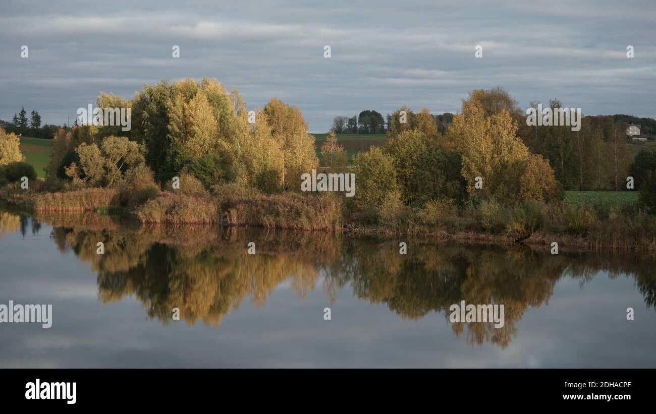 Magnifiques couleurs d'automne dans la nature dans un paysage naturel sauvage au bord du lac. Vue aux tons pastel teintes dans le feuillage des arbres à feuilles caduques qui Banque D'Images