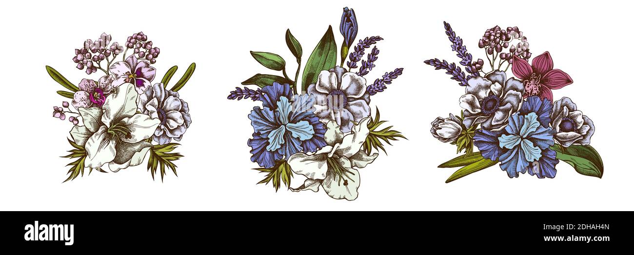 Bouquet de fleurs d'anémone colorée, lavande, romarin éternel, phalaenopsis, lis, iris Illustration de Vecteur