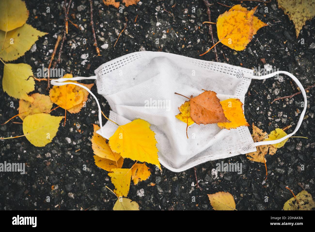 Getragene Schutzmaske liegt auf dem Boden zwischen Herbstlaub Banque D'Images