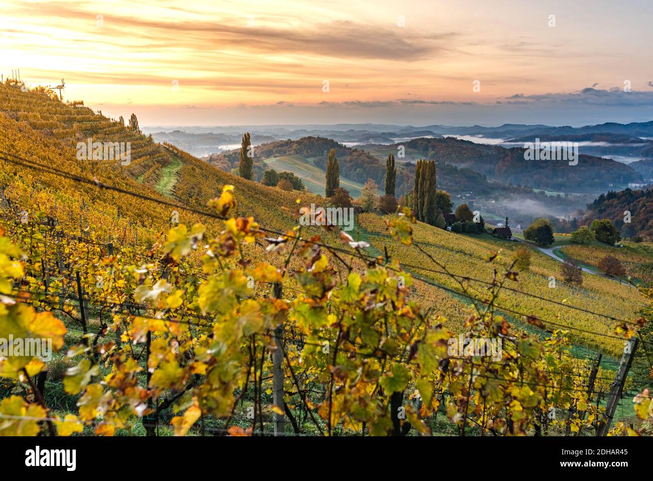 Vue d'automne de la route sud-styrienne en Autriche sur les collines en Slovénie pendant le lever du soleil. Banque D'Images