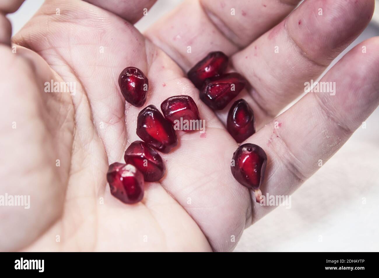 Détail de quelques graines de grenade avec leur caractéristique rubis rouge pulpe dans la paume d'une main Banque D'Images