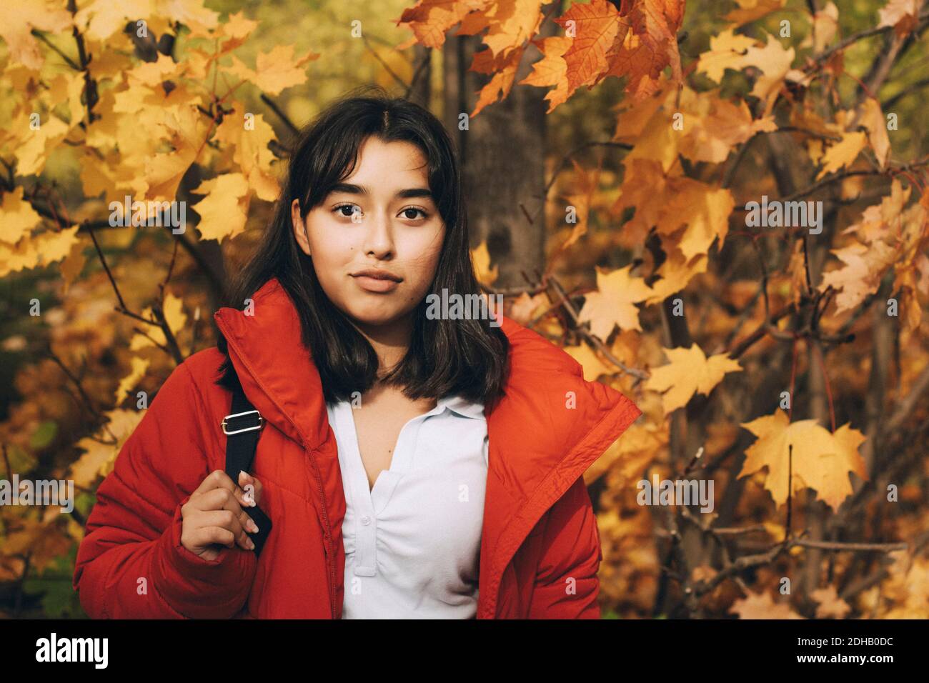 Portrait d'une adolescente confiante portant une veste rouge debout contre érables Banque D'Images