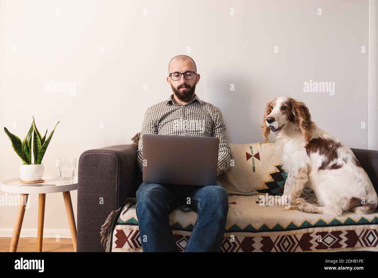 l'homme travaille à la maison, le chien est assis à côté de lui sur le canapé. Travail à distance, verrouillage, quarantaine concept de style de vie: Maison avec les animaux de compagnie combinés avec le travail Banque D'Images