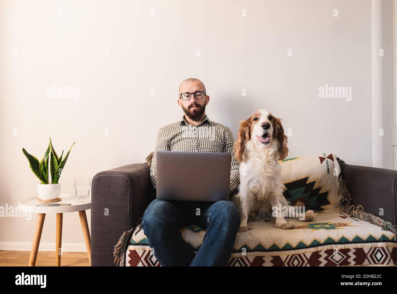 l'homme travaille à la maison, le chien heureux est assis à côté de lui sur le canapé. Travail à distance, verrouillage, quarantaine concept de style de vie: Maison avec les animaux de compagnie combinés avec le Banque D'Images