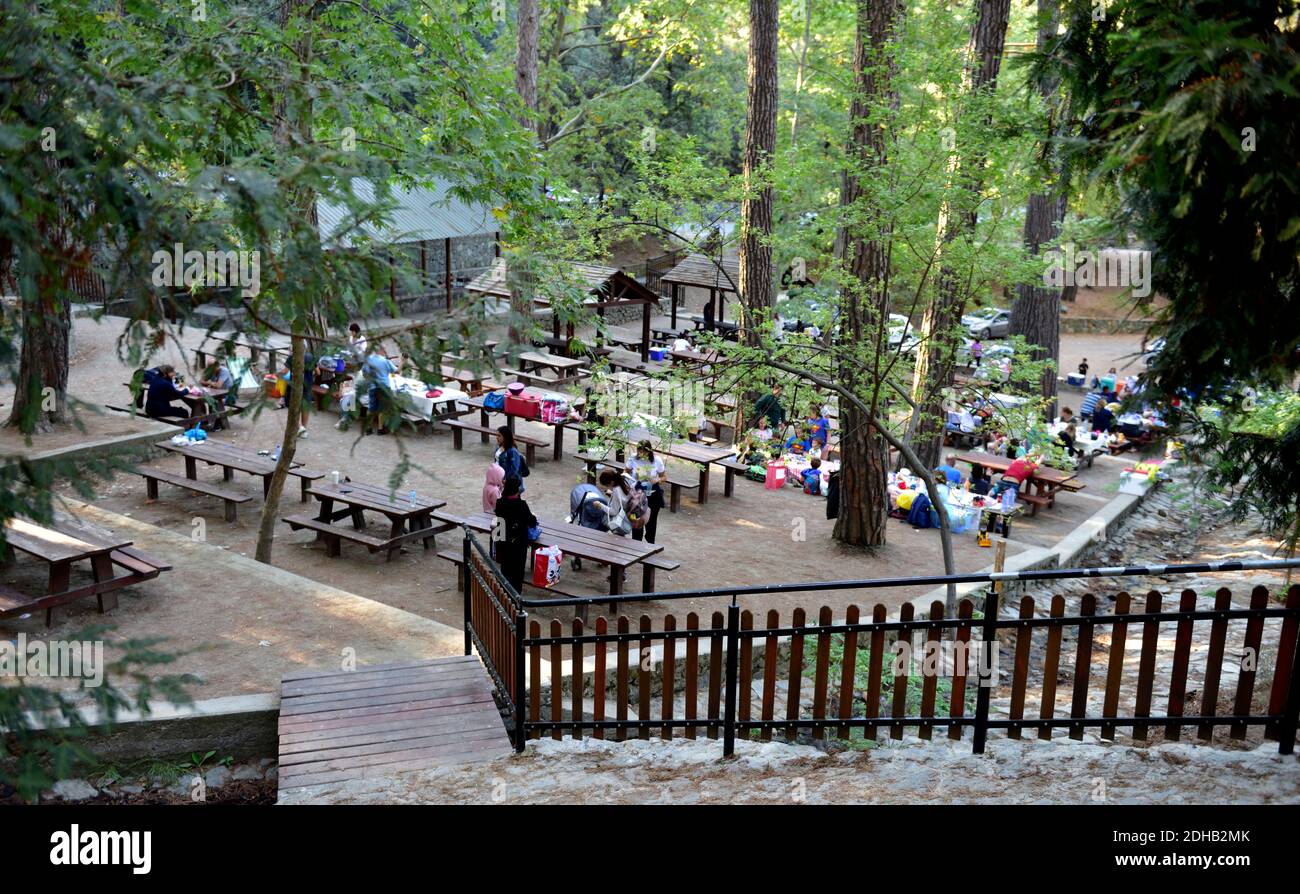 Aire de pique-nique et barbecue dans la réserve naturelle de Platania, près des montagnes de Trodos, Chypre Banque D'Images