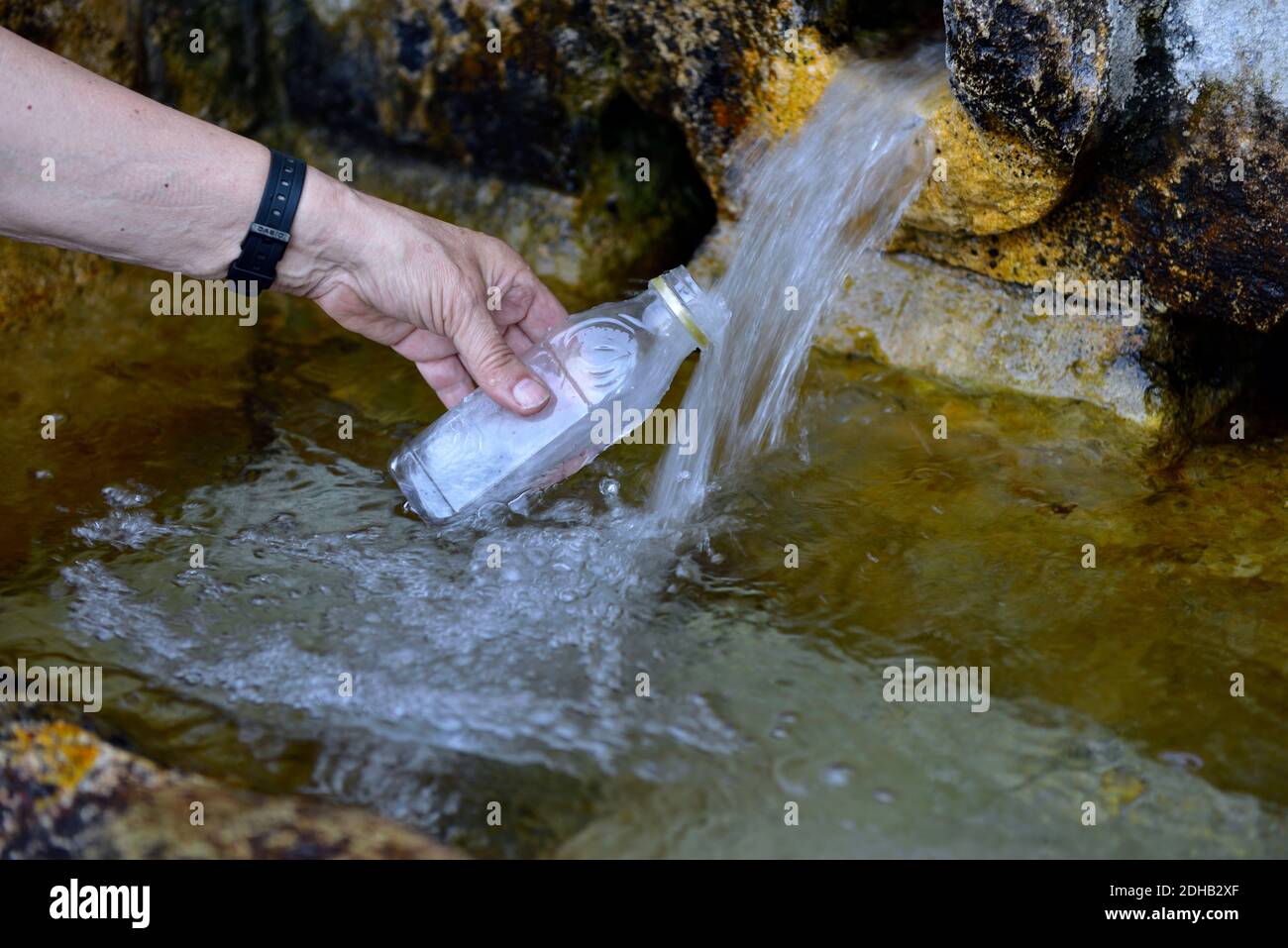 Remplissage d'une bouteille en plastique jetable avec de l'eau au printemps naturel avec inscription au-dessus des sources, des vallées et des collines, Chypre. Banque D'Images