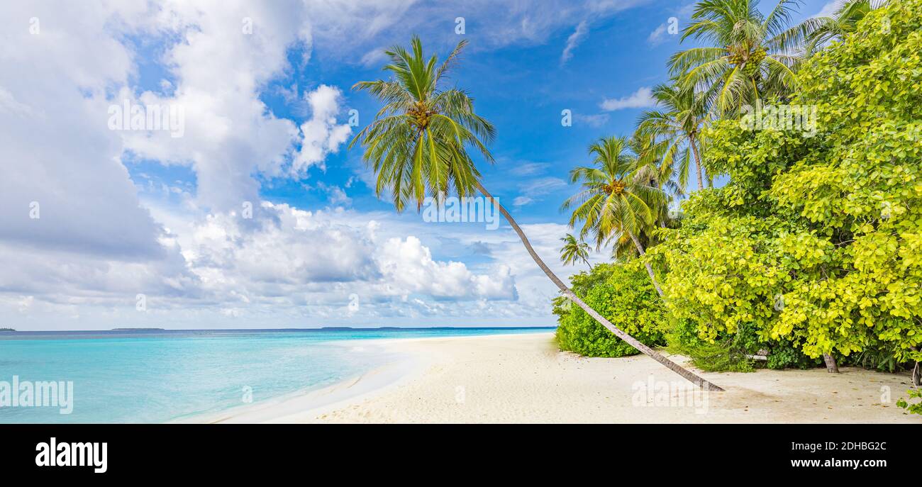 Belle plage tropicale bannière. Le sable blanc et les palmiers coco Voyage panorama touristique. Incroyable inspiration paysage de plage. Vacances de luxe sur l'île Banque D'Images