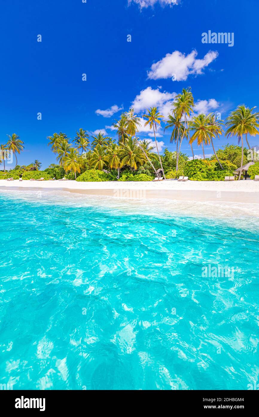 Belle plage tropicale bannière. Le sable blanc et les palmiers coco Voyage panorama touristique. Incroyable inspiration paysage de plage. Vacances de luxe sur l'île Banque D'Images