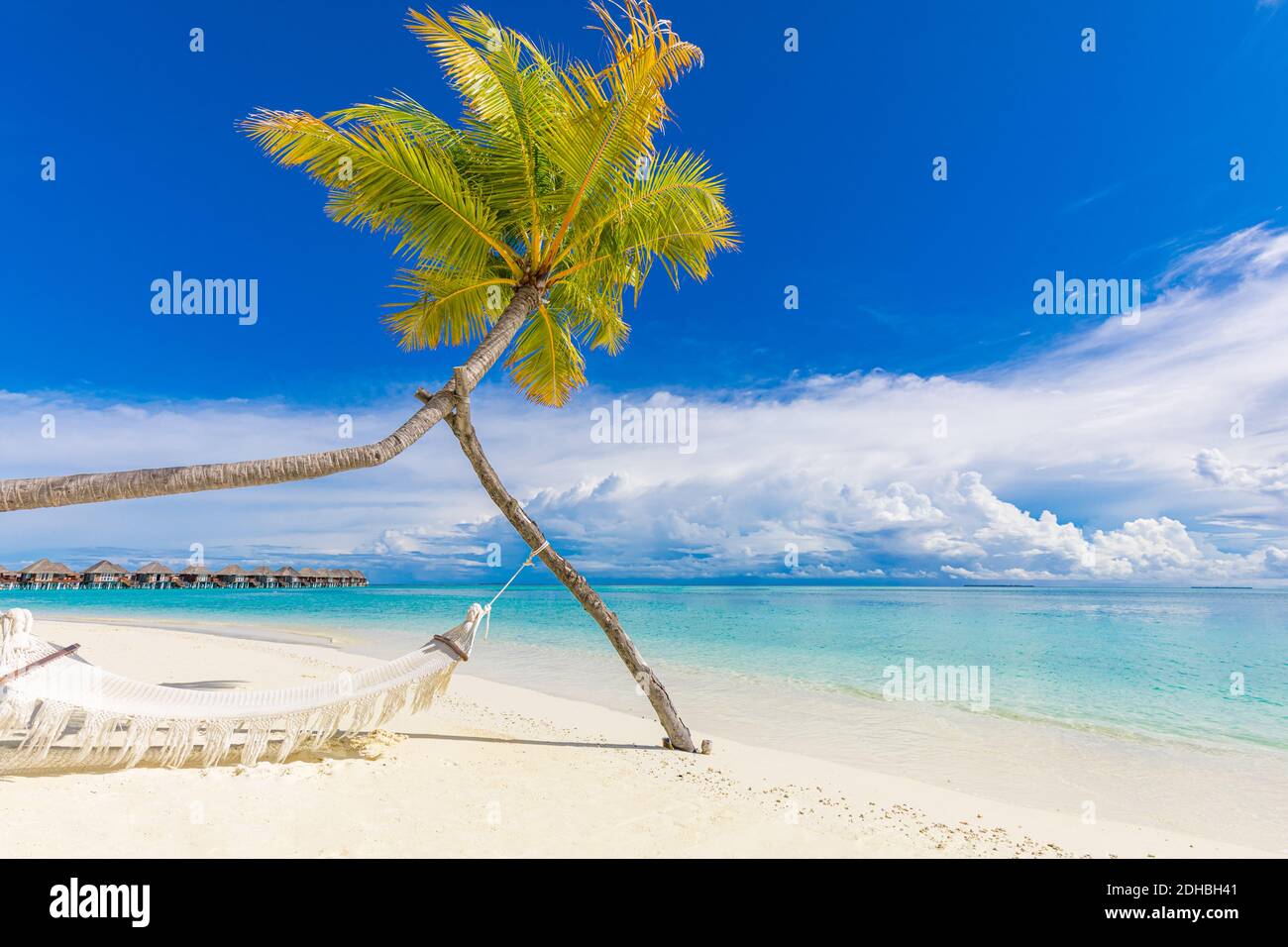 Plage tropicale comme paysage d'été. Idéal pour des vacances sur la plage et un concept de vacances d'été. Balançoire de plage ou hamac et sable blanc et calme Banque D'Images