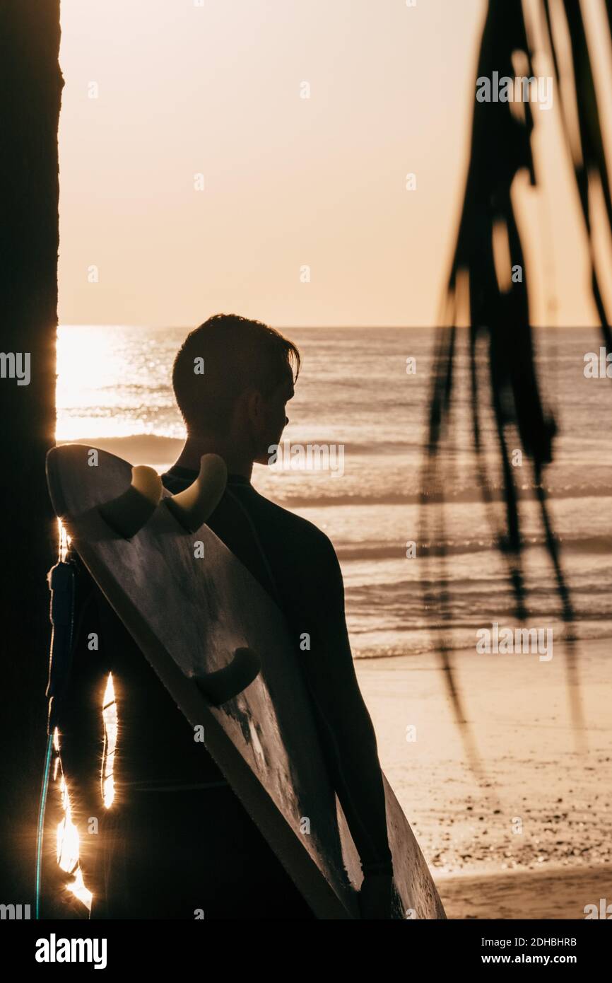 Vue arrière du jeune homme avec surf à la plage pendant coucher de soleil Banque D'Images