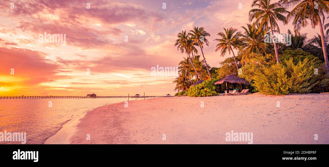 Belle plage tropicale bannière. Sable blanc coco palmiers mer voyage tourisme large panorama arrière-plan. Magnifique coucher de soleil lever du soleil sur la plage vue sur le paysage Banque D'Images