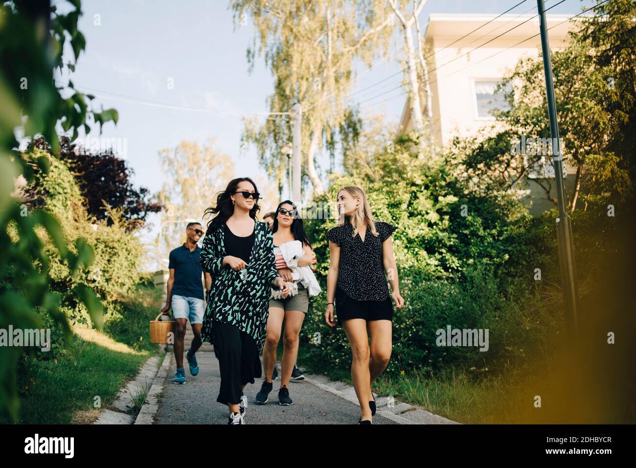 Des amis mâles et femelles marchant sur un sentier au milieu des arbres Banque D'Images