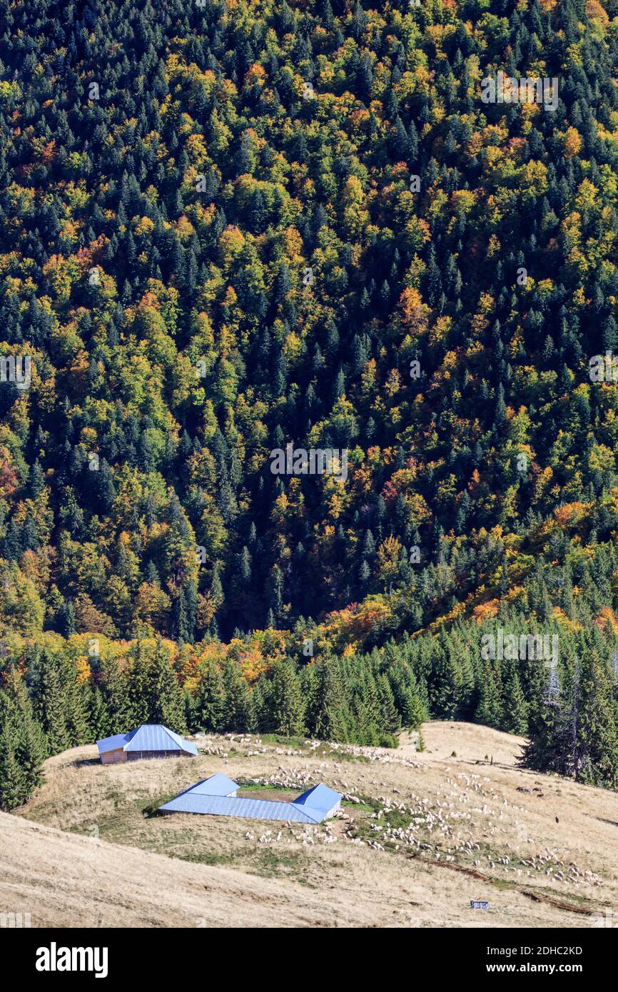 Paysage de montagne dans les montagnes de Fagaras, Roumanie Banque D'Images
