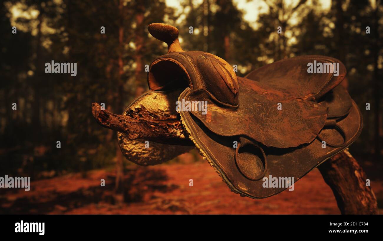 Cheval en cuir vintage selle sur l'arbre mort dans la forêt au coucher du soleil Banque D'Images