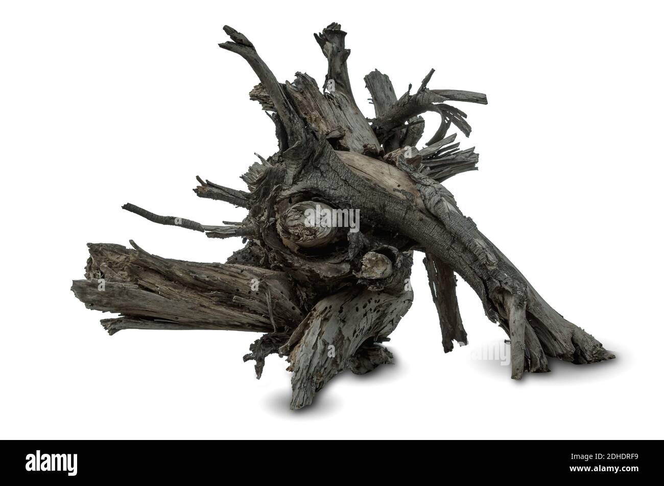 Bois de Driftwood sur fond blanc Banque D'Images