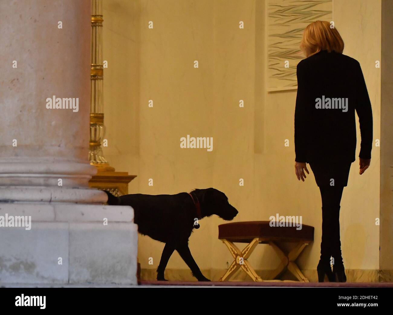 site rencontre chien paris