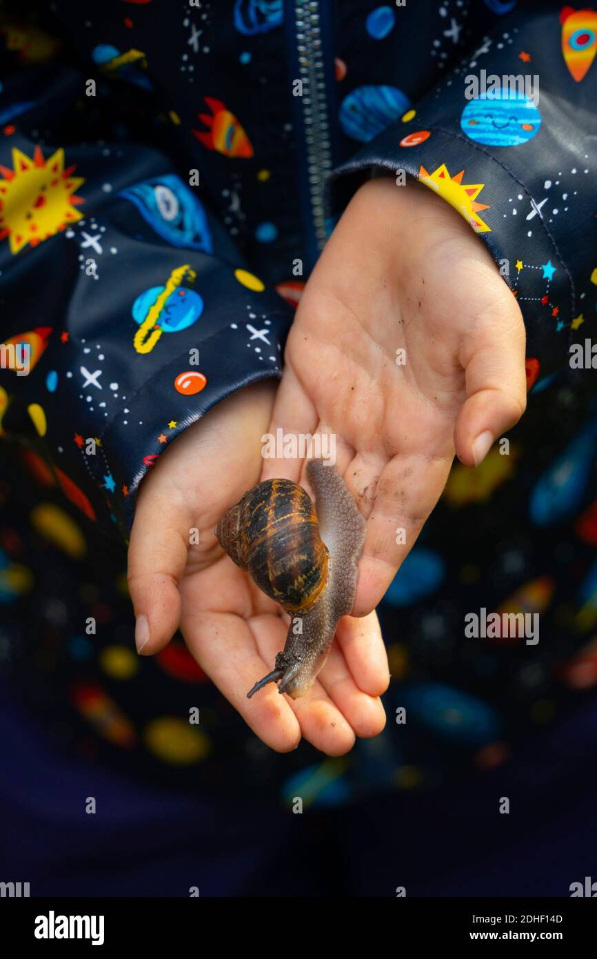 Jeune enfant tenant un escargot dans les paumes des mains Banque D'Images