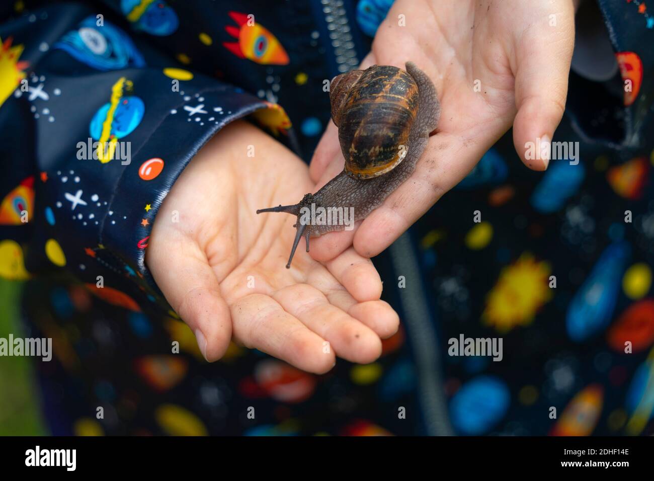Jeune enfant tenant un escargot dans les paumes des mains Banque D'Images