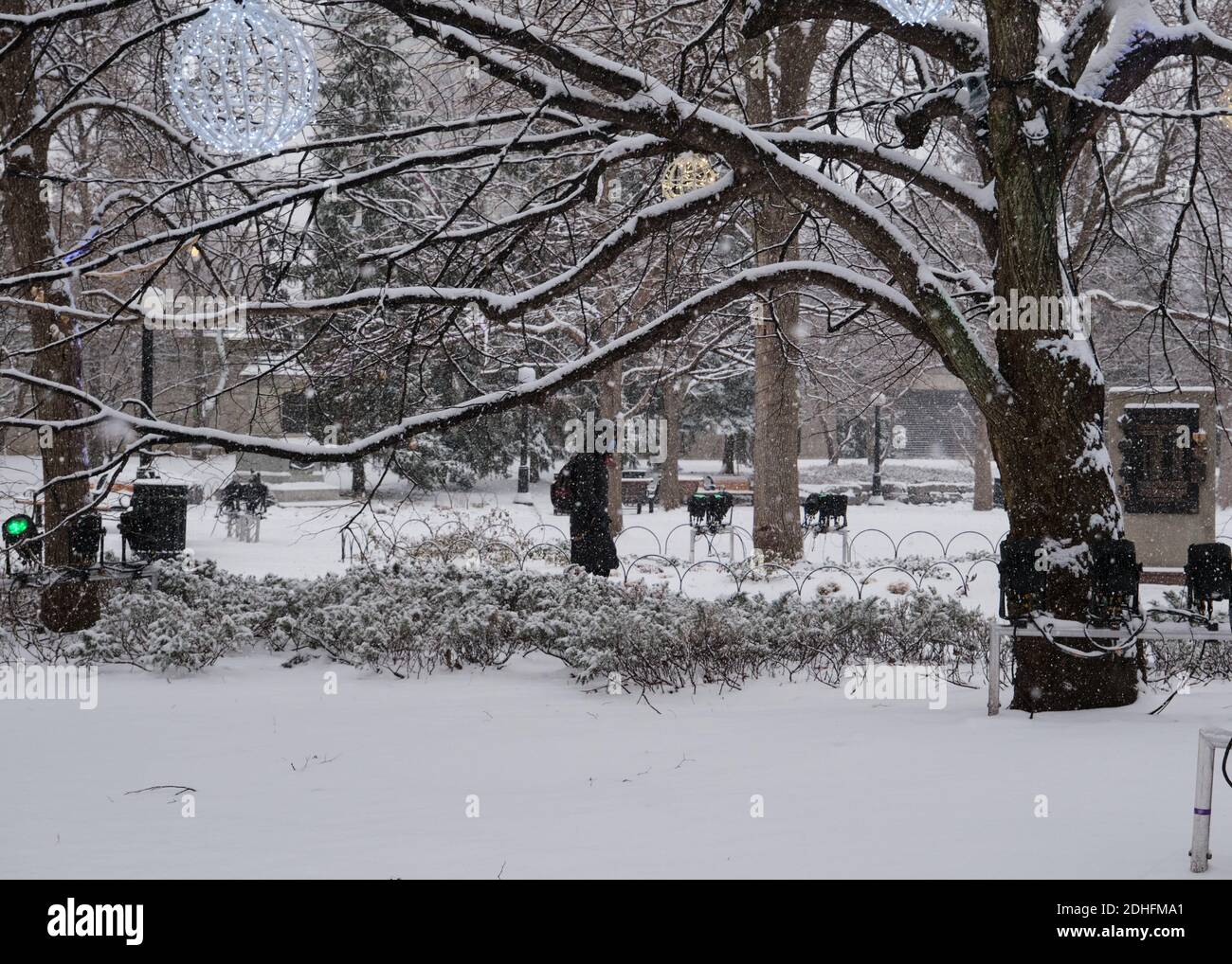 Personne en long manteau marchant dans un parc du centre-ville avec beaucoup d'arbres pendant une tempête de neige Banque D'Images
