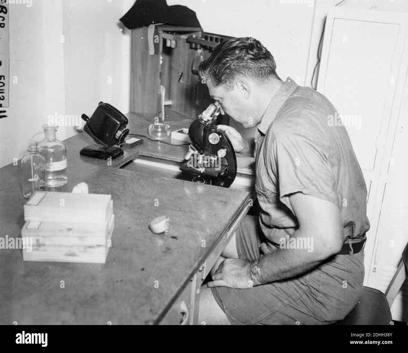 L B Marquiss prélèvement de sang sur des spécimens de poissons, probablement dans les environs de l'atoll de bikini, été 1947 (DONALDSON 57). Banque D'Images