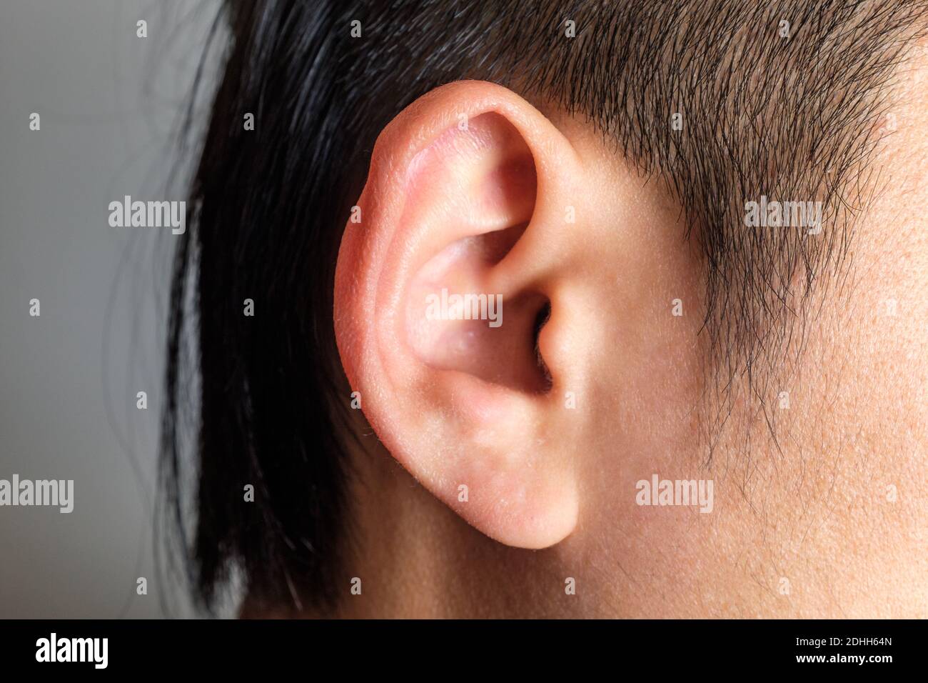 Oreille homme adulte. Oreille vue du côté. Lobe et roue Photo Stock - Alamy